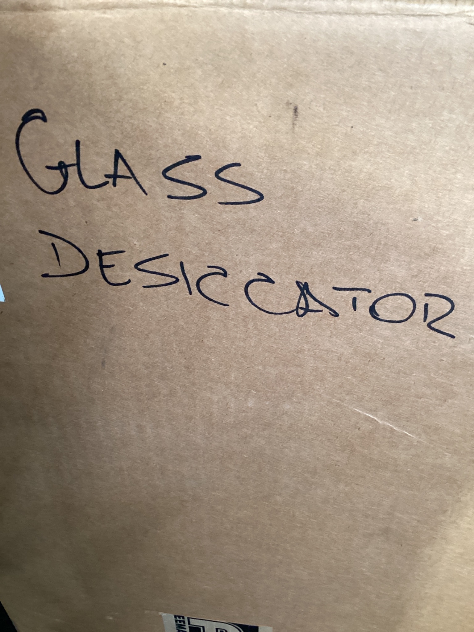 Clear Glass Vacuum Desiccator USED 5
