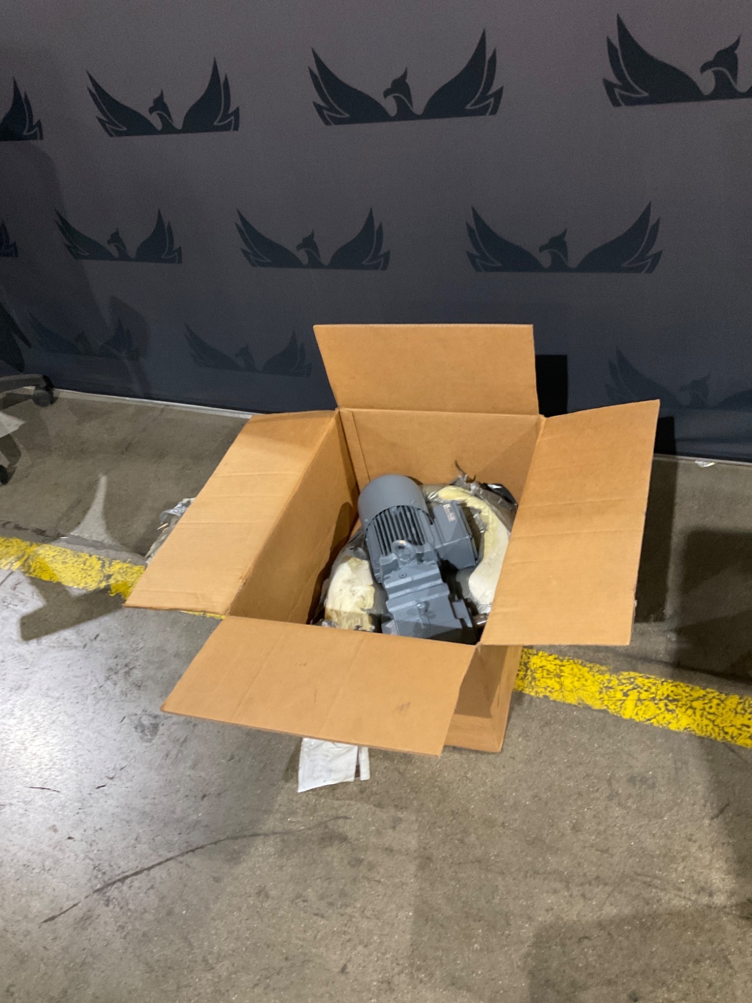 BAUER BM10-71V/D08MA4-TF-S/ESX010A5/AM-SP Gear Motor NEW 1